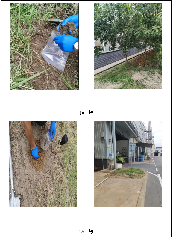 &#70;&#71;&#30005;&#23376;&#40;&#20013;&#22269;&#28216;&#41;&#23448;&#26041;&#32593;&#31449;