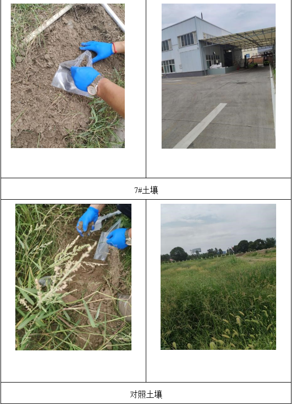 &#70;&#71;&#30005;&#23376;&#40;&#20013;&#22269;&#28216;&#41;&#23448;&#26041;&#32593;&#31449;